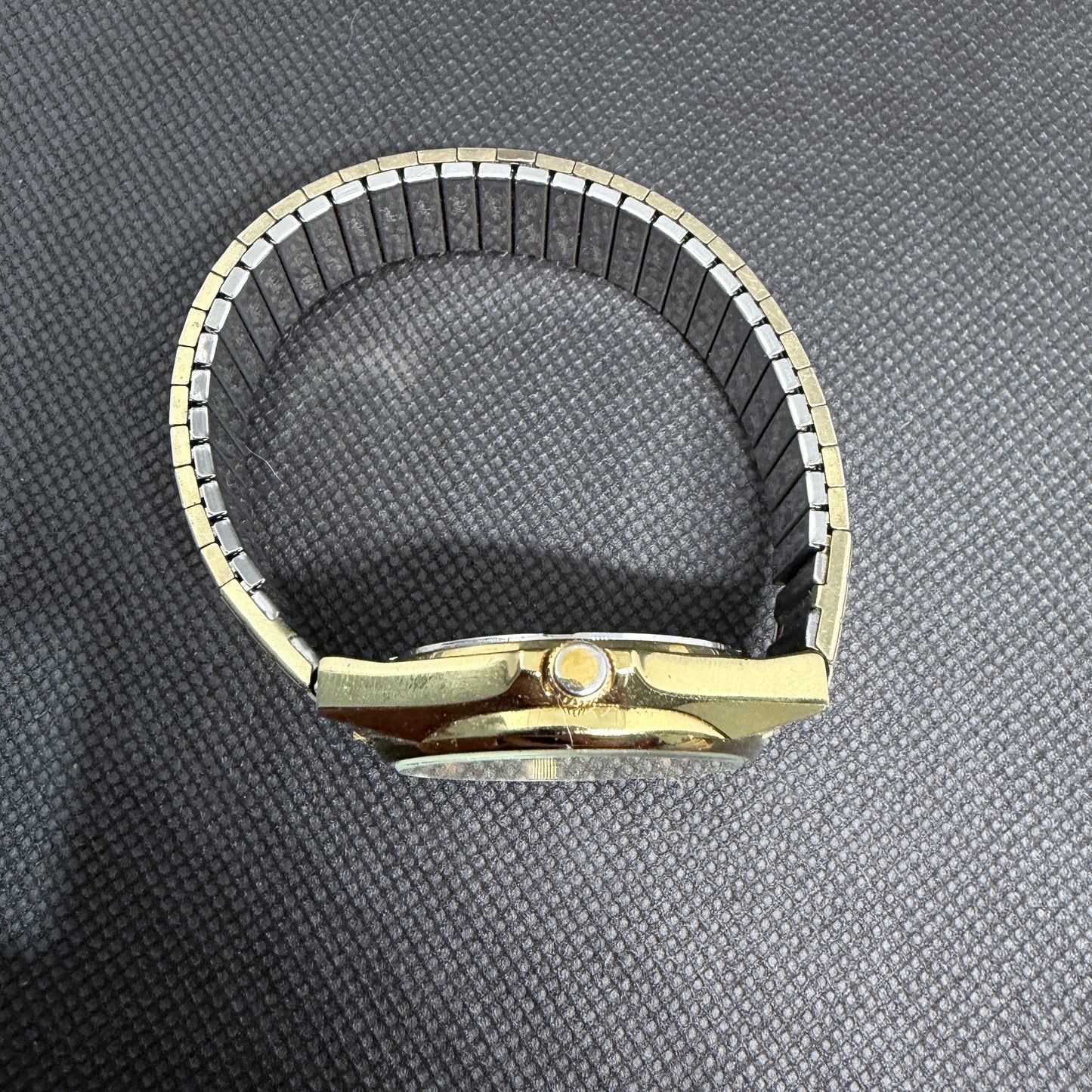 Vintage Orient Swimmer 100