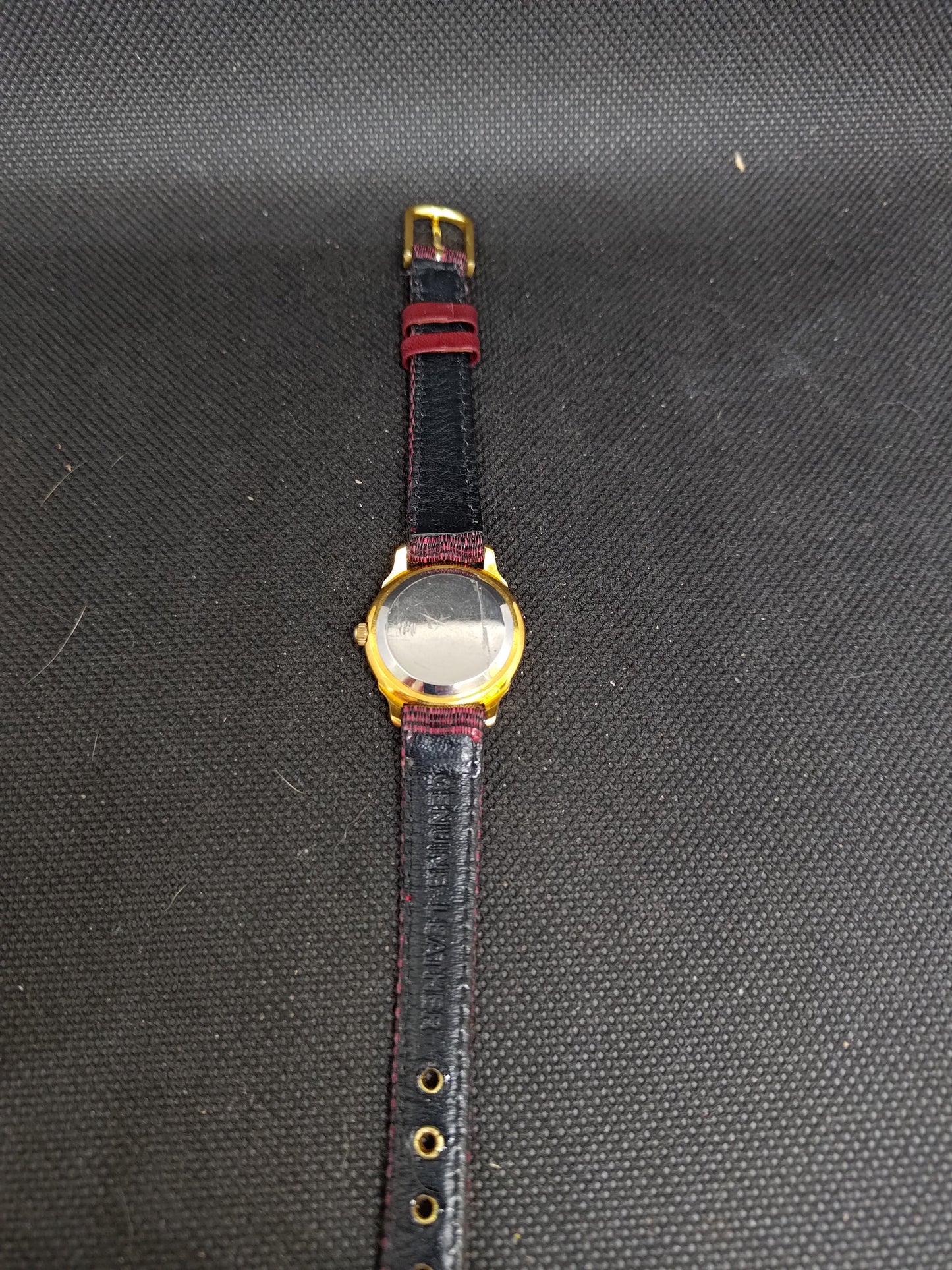 Austin Ladies Watch
