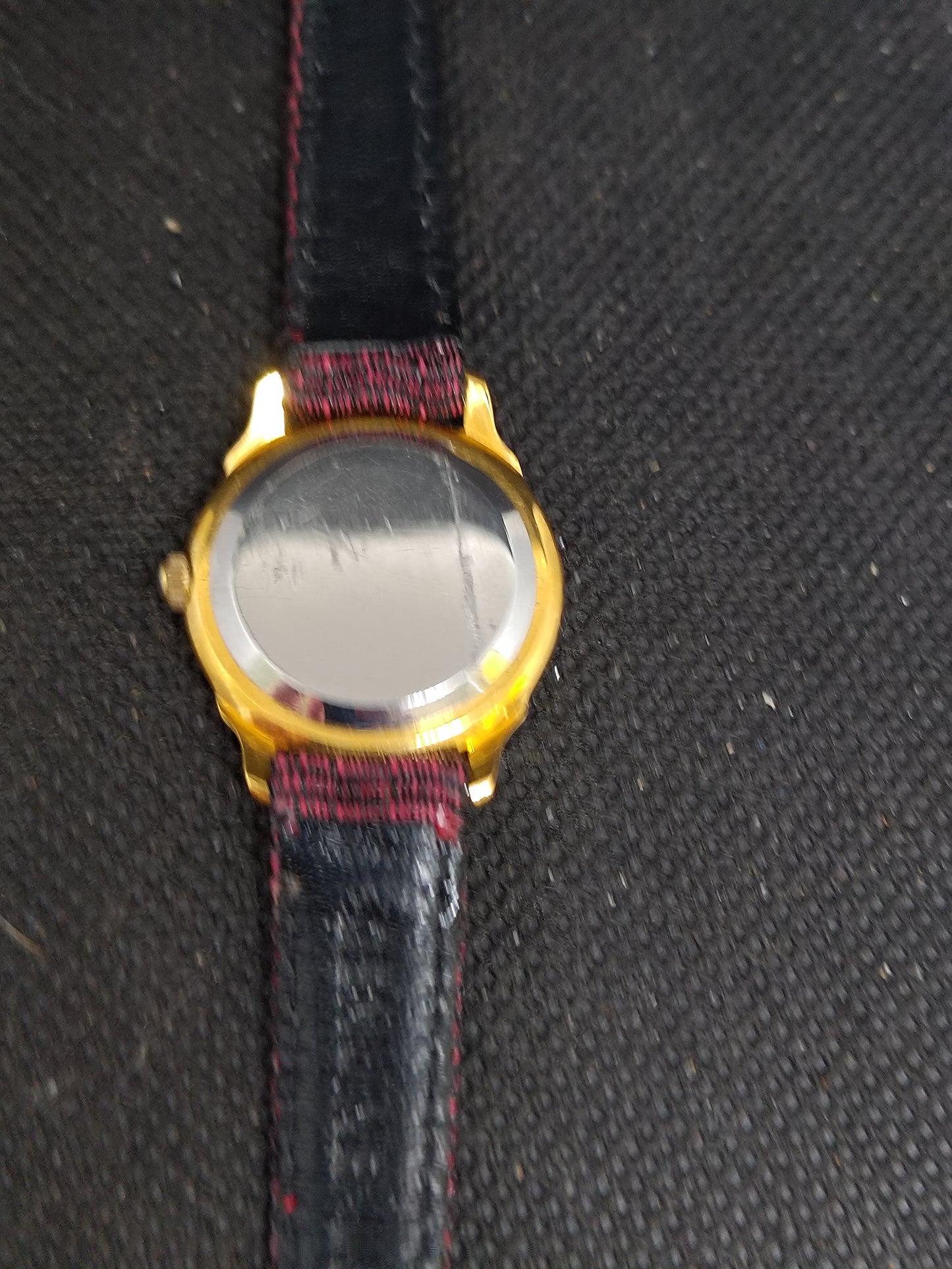 Austin Ladies Watch
